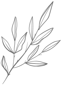 Grass-2
