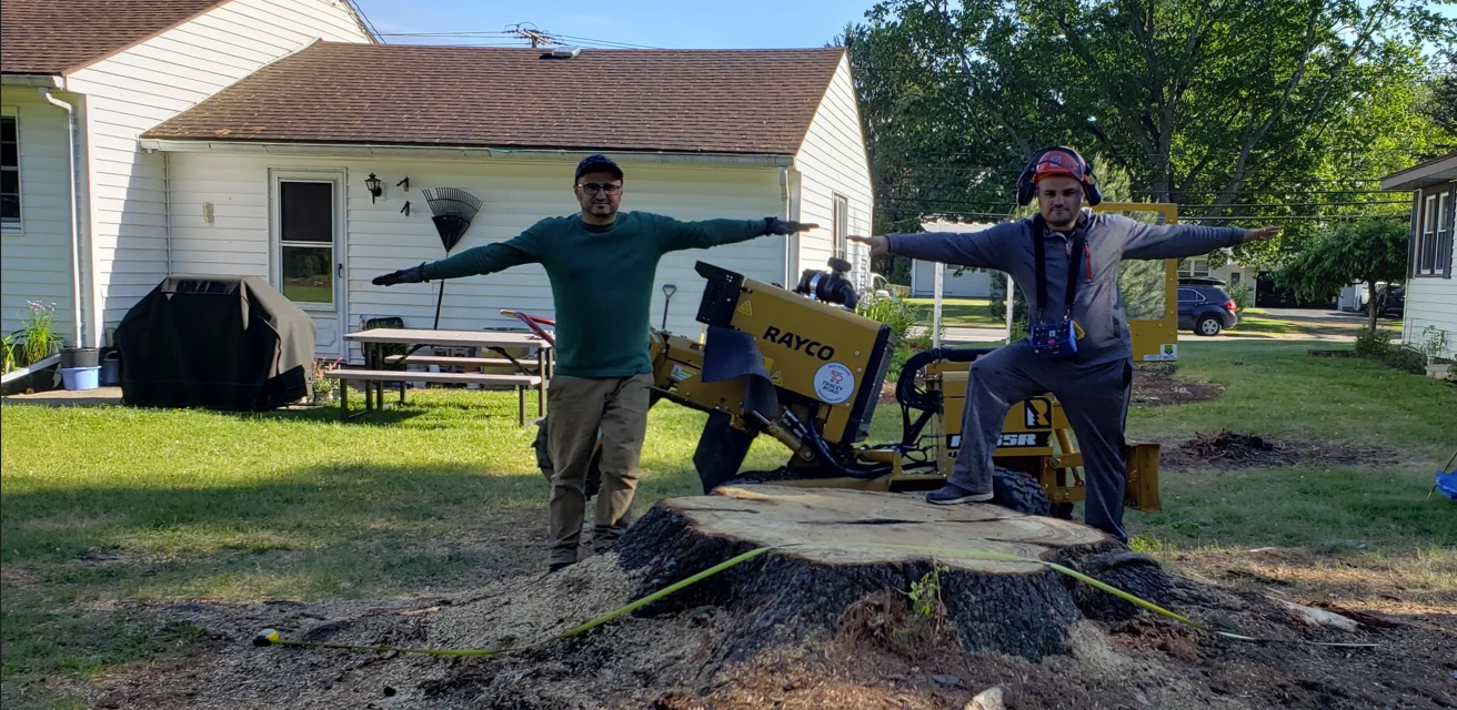 Family-owned Stump Grinding Service Company | Daily Grind Stump Bros