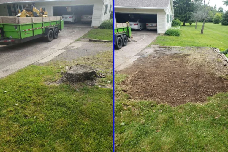 Before and After work from Daily Grind Stump Bros