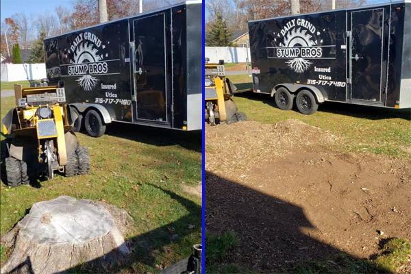 Before and After work from Daily Grind Stump Bros