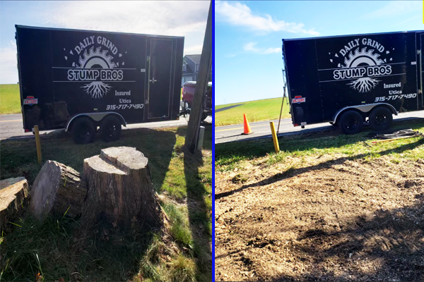 Before and After work from Daily Grind Stump Bros