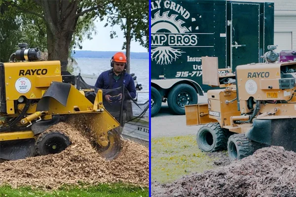 Before and After work from Daily Grind Stump Bros