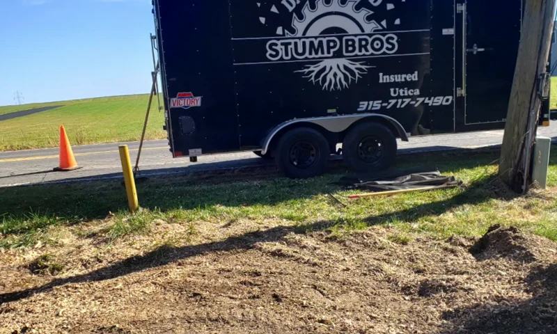 After Stump Grinding work of Daily Grind Stump Bros