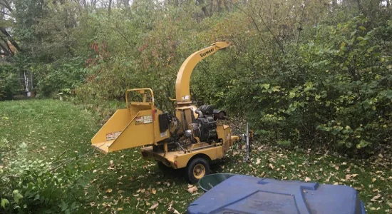 Bush Removing Service Bush Removing Service From Daily Grind Stump Bros 1