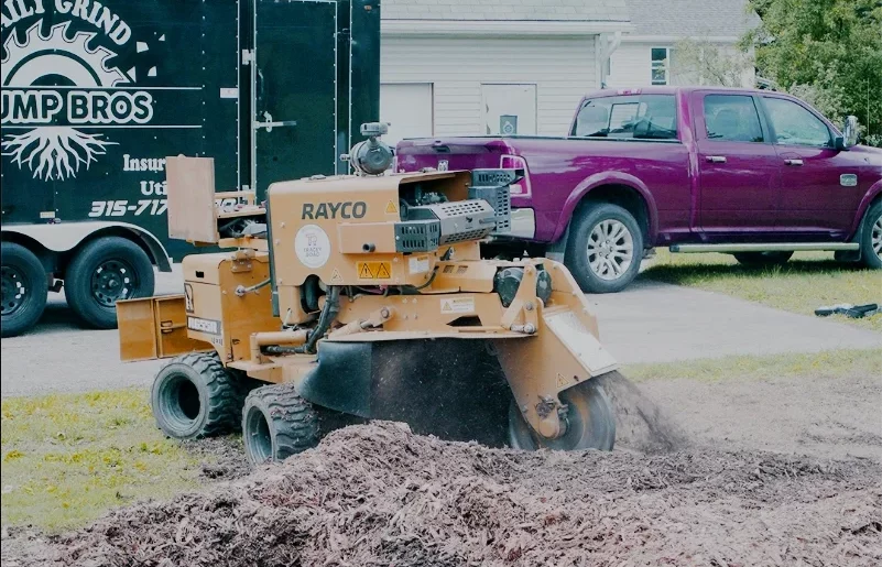 Stump Grinding/Remove Service From Daily Grind Stump Bros